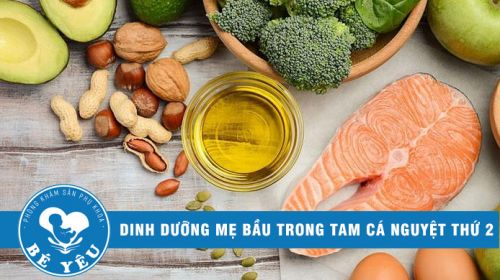 Dinh dưỡng mẹ bầu trong tam cá nguyệt thứ 2