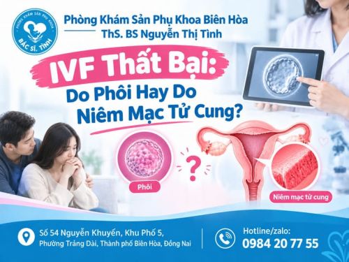 IVF Thất Bại: Do Chất Lượng Phôi Hay Do Niêm Mạc Tử Cung Không Làm Tổ Được?