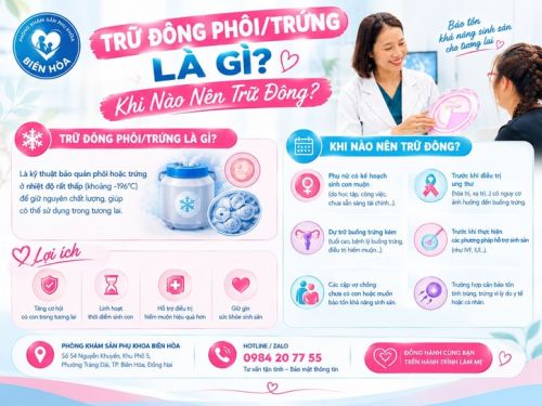 Trữ Đông Phôi/Trứng Là Gì? Khi Nào Nên Trữ Đông?