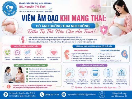Viêm Âm Đạo Khi Mang Thai Có Ảnh Hưởng Thai Nhi Không?