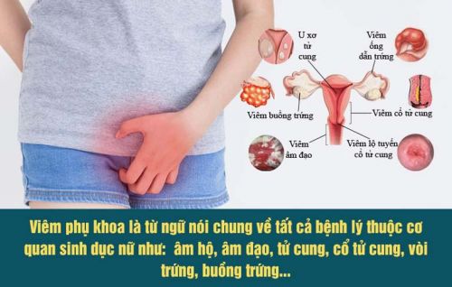 PHỤ KHOA