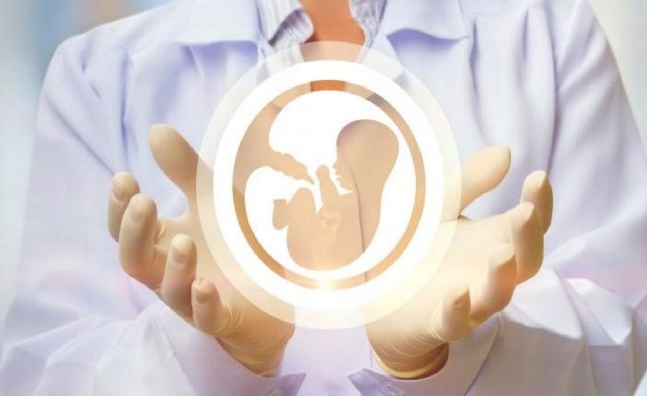 Hình minh họa giấc mơ có con khi hiếm muộn