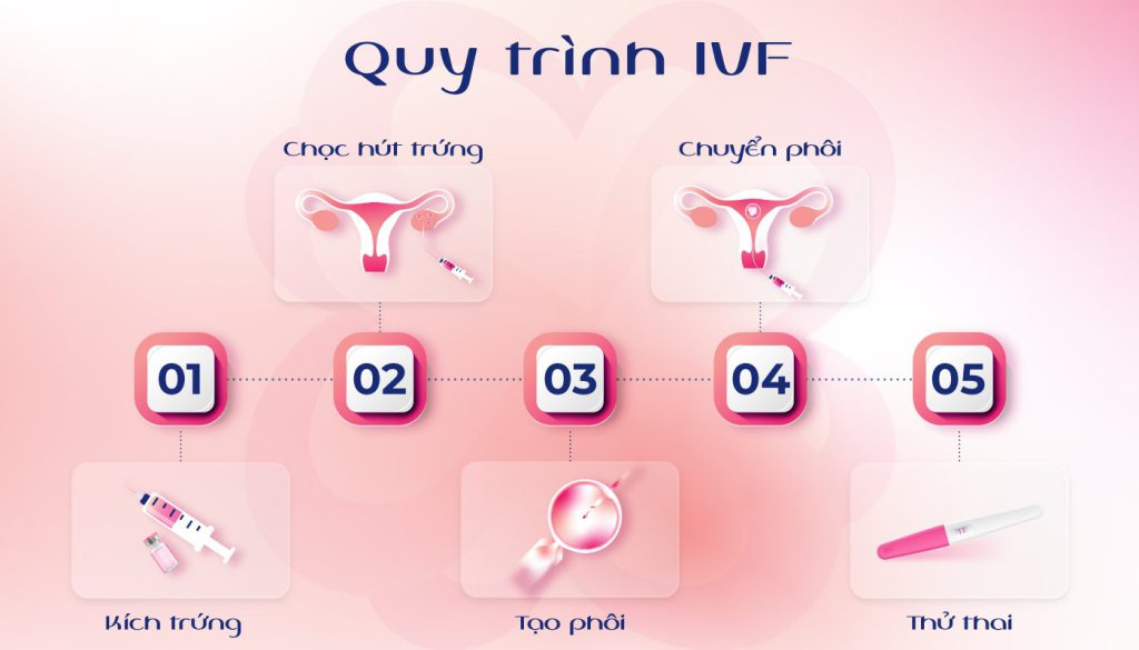 Quá trình IVF