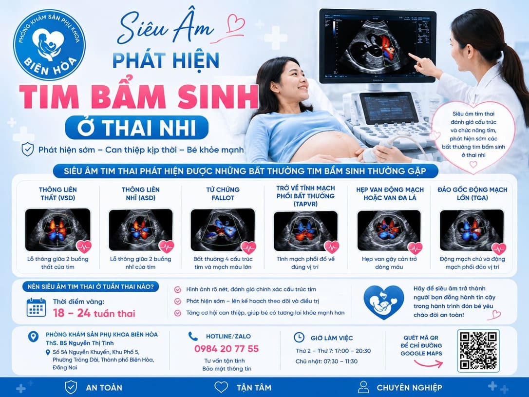 Siêu Âm Phát Hiện Tim Bẩm Sinh Ở Thai Nhi